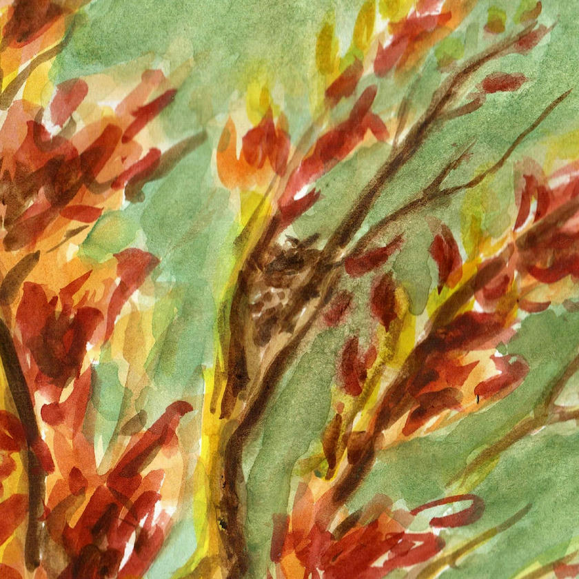 Artist profile