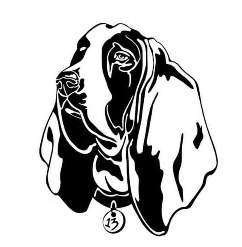 Artist profile