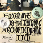 A Recorded Dawn, Often Wrong, Fox Glove, Taking Tiger Mountain