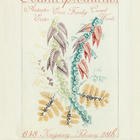 Anteater Eater, Counterproductive, Ezra Franky, Cursed Words