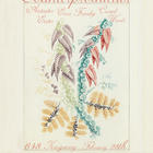 Anteater Eater, Counterproductive, Ezra Franky, Cursed Words